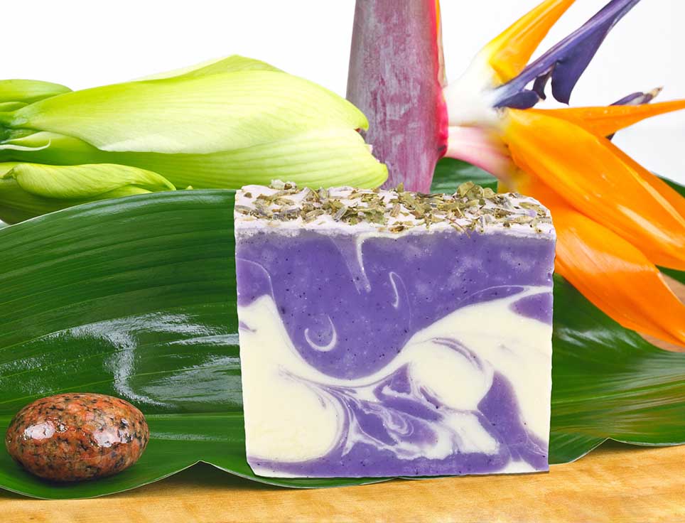 Naturseife Eisenkraut Lavendel 100g, Handseife vegan, natürlich basische Seife
